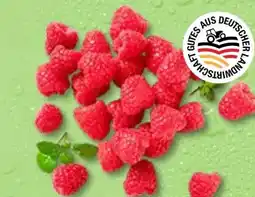 Kaufland Himbeeren Angebot