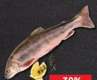 Kaufland Saibling Angebot