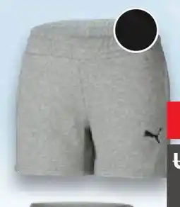 Kaufland Puma Damen Sweatshorts Angebot