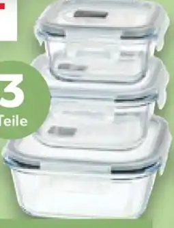 Kaufland Bergner Frischhaltedose Angebot