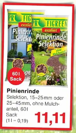 Wiglo Wunderland Pinienrinde Angebot