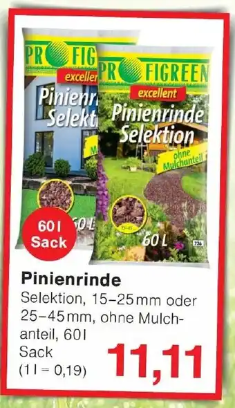 Wiglo Wunderland Pinienrinde Angebot