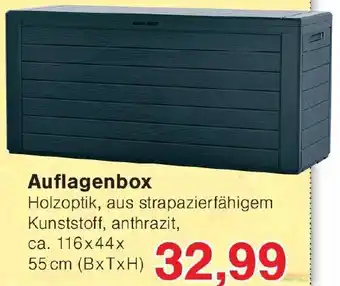 Wiglo Wunderland Auflagenbox Angebot