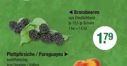 V Markt Brombeeren Angebot