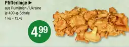 V Markt Pfifferlinge Angebot