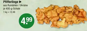 V Markt Pfifferlinge Angebot