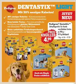 V Markt Pedigree dentastix light Angebot