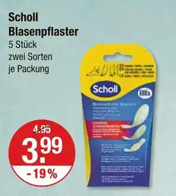 V Markt Scholl blasenpflaster Angebot