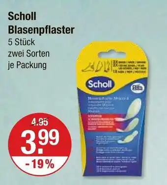 V Markt Scholl blasenpflaster Angebot