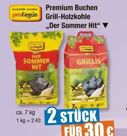 V Markt Profagus der sommer hit Angebot