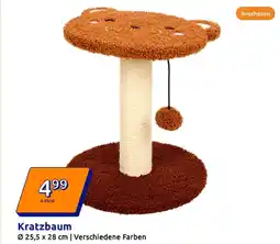 Action Kratzbaum Angebot