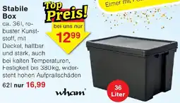 Wiglo Wunderland Wham Stabile Box Angebot