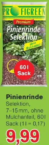 Wiglo Wunderland Pinienrinde Angebot