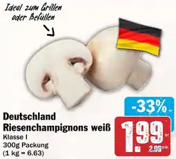 AEZ Deutschland Riesenchampignons weiß Angebot