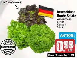AEZ Deutschland Bunte Salate Angebot