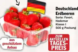 AEZ Deutschland Erdbeeren Angebot
