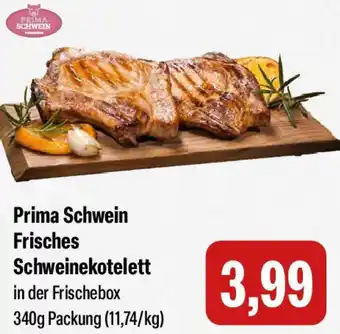 Feneberg Prima Schwein Frisches Schweinekotelett Angebot
