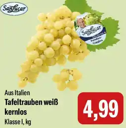 Feneberg SanLucar Tafeltrauben weiß kernlos Angebot