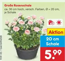 Netto Marken-Discount Große rosenschale Angebot