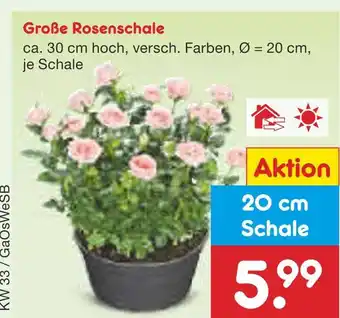 Netto Marken-Discount Große rosenschale Angebot