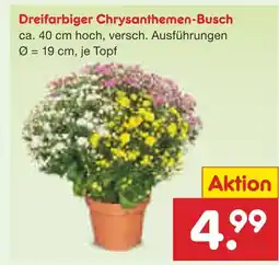 Netto Marken-Discount Dreifarbiger chrysanthemen-busch Angebot