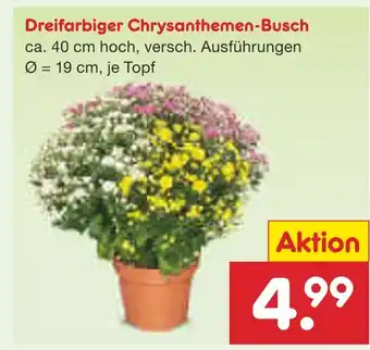 Netto Marken-Discount Dreifarbiger chrysanthemen-busch Angebot