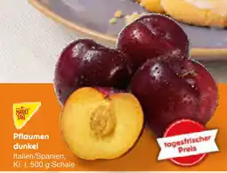 Netto Marken-Discount Markttag pflaumen dunkel Angebot