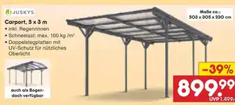 Netto Marken-Discount Juskys carport, 5 x 3 m Angebot