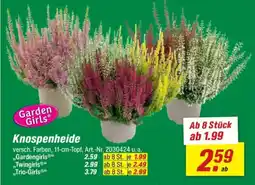 toom Baumarkt Knospenheide Angebot