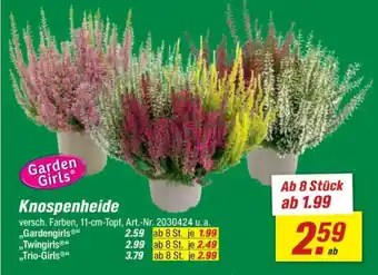 toom Baumarkt Knospenheide Angebot