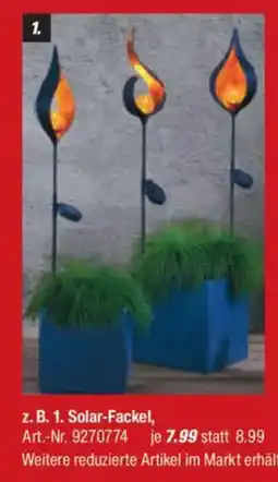 toom Baumarkt Solar-Fackel Angebot