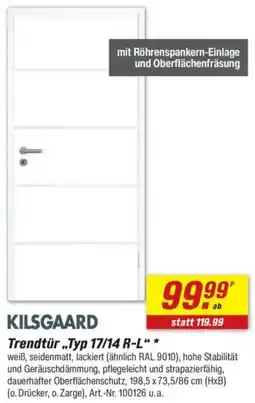 toom Baumarkt KILSGAARD Trendtür „Typ 17/14 R-L" Angebot