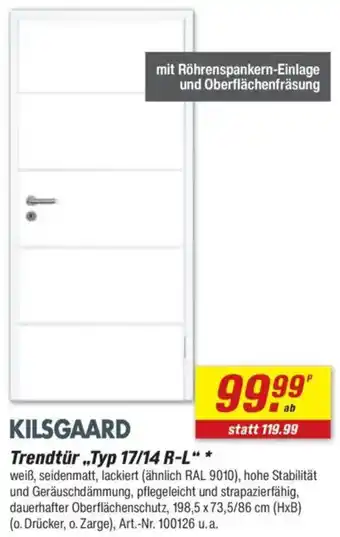 toom Baumarkt KILSGAARD Trendtür „Typ 17/14 R-L" Angebot