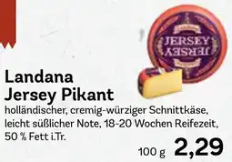 AEZ Landana Jersey Pikant Angebot