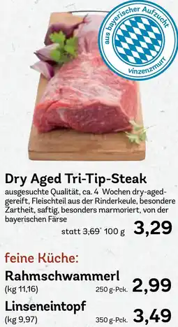 AEZ Dry Aged Tri-Tip-Steak Angebot