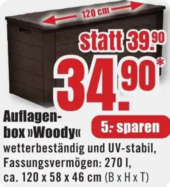 B1 Discount Baumarkt Auflagenbox Woody Angebot