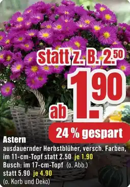 B1 Discount Baumarkt Astern Angebot
