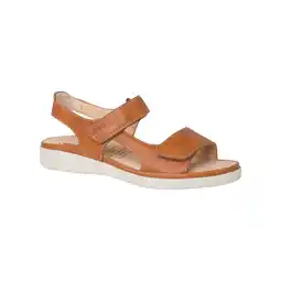 Netto Marken-Discount Ganter Gina Damen Sandale Angebot