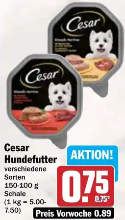 AEZ Cesar Hundefutter Angebot