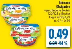 diska Ehrmann Obstgarten Angebot