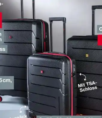 Woolworth Basic Concept Hartschalenkoffer Angebot