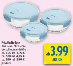 diska Frischhaltedose Angebot