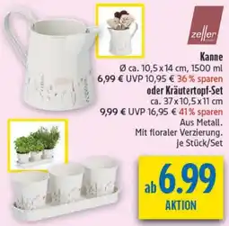 diska Zeller Kanne oder Kräutertopf-Set Angebot