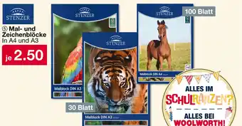 Woolworth Stenzer malblock din a3 Angebot