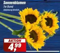 Simmel Sonnenblumen Angebot