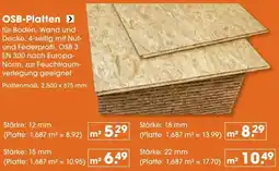 V Baumarkt OSB-Platten Angebot