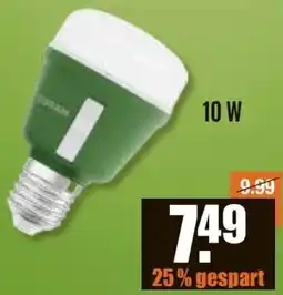 V Baumarkt OSRAM Pflanzenwachstumslampe Angebot