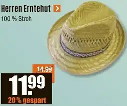 V Baumarkt Herren Erntehut Angebot