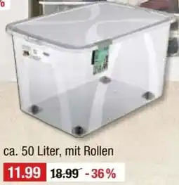 V Baumarkt rotho Aufbewahrungsbox ,,Lona" Angebot