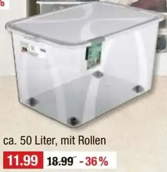 V Baumarkt rotho Aufbewahrungsbox ,,Lona" Angebot